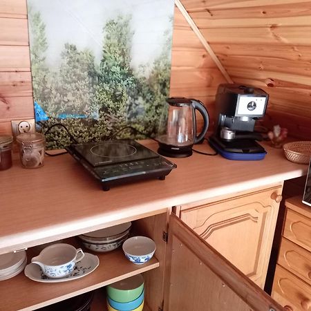 U Janusza I Grazyny Apartment Sciegny Ngoại thất bức ảnh